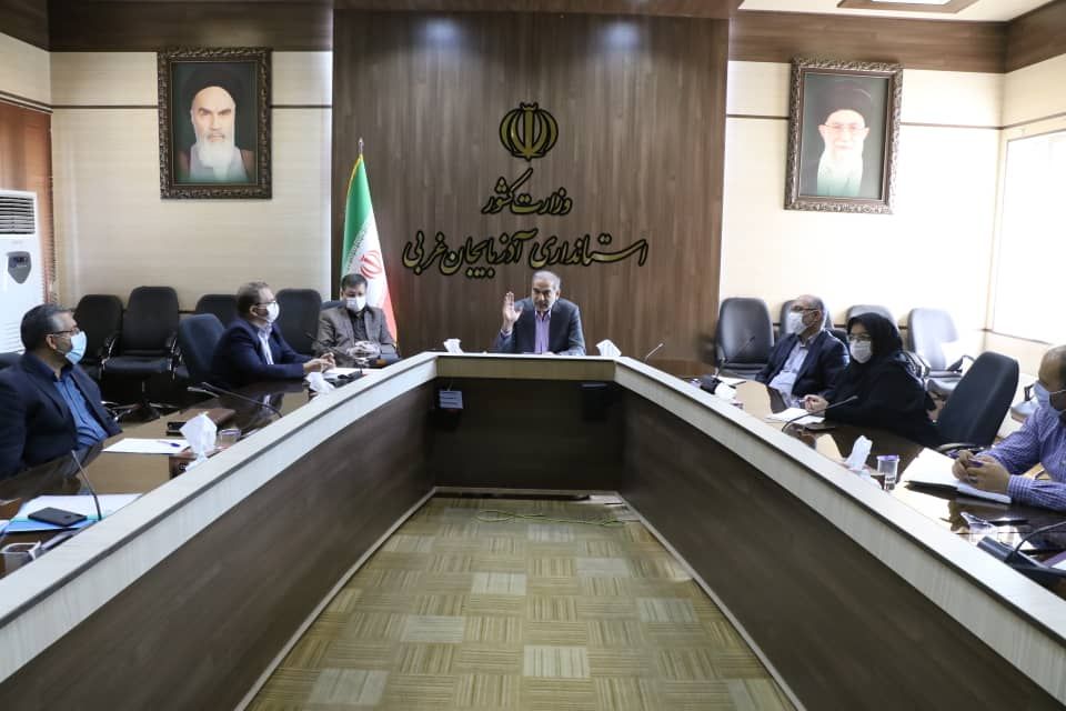 ۲۳۹ هزار تن گوجه فرنگی در آذربایجان غربی تولید میشود