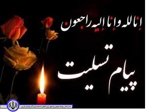 پیام تسلیت استاندار آذربایجان غربی در پی درگذشت "عباس الطافی" جانباز 70 درصد شهرستان تکاب