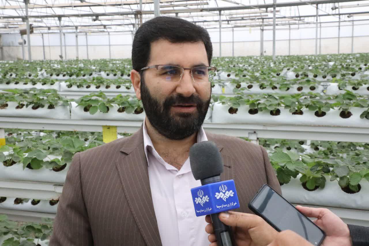 51 درصد مصوبات یکشنبههای حمایت از تولید اجرایی شد