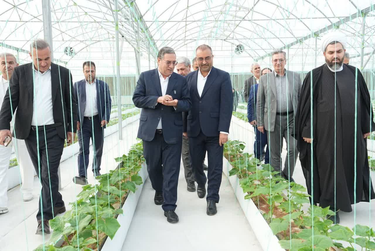 افتتاح گلخانه هیدروپونیک باراندوز ارومیه با سرمایهگذاری 60 میلیارد تومانی + تصاویر