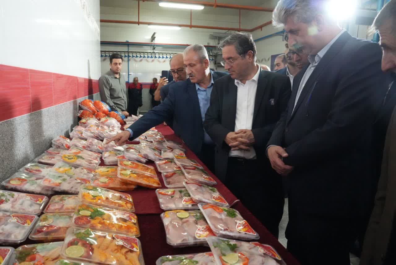 بازدید استاندار آذربایجانغربی از مجتمع زنجیرهای هما مرغ مهاباد + تصاویر