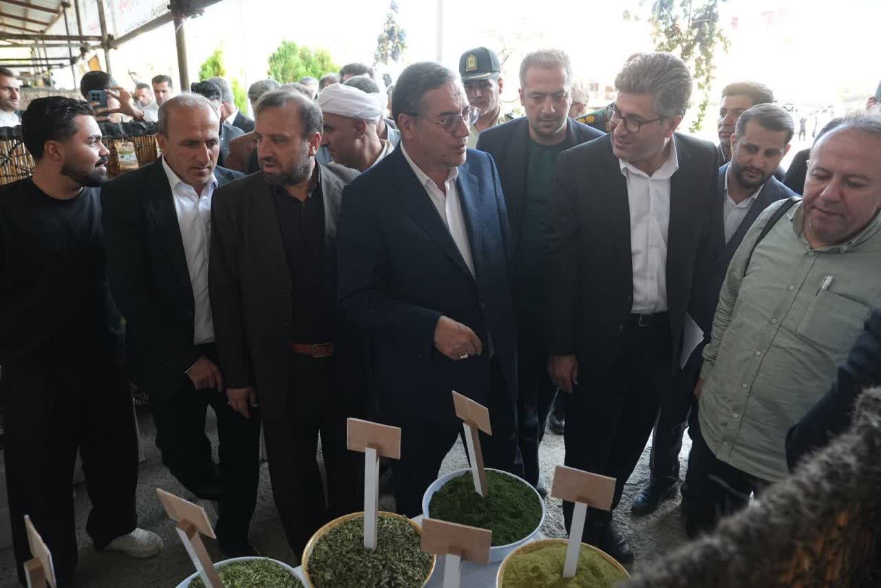 جلوهای از ظرفیتهای بومی میرآباد در جشنواره انگور سیاه + تصاویر