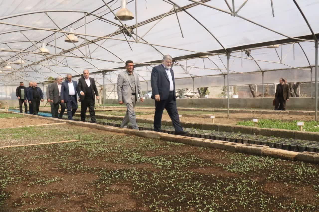 آلبوم تصویری / بازدید استاندار آذربایجانغربی از گلخانه شهرداری ارومیه