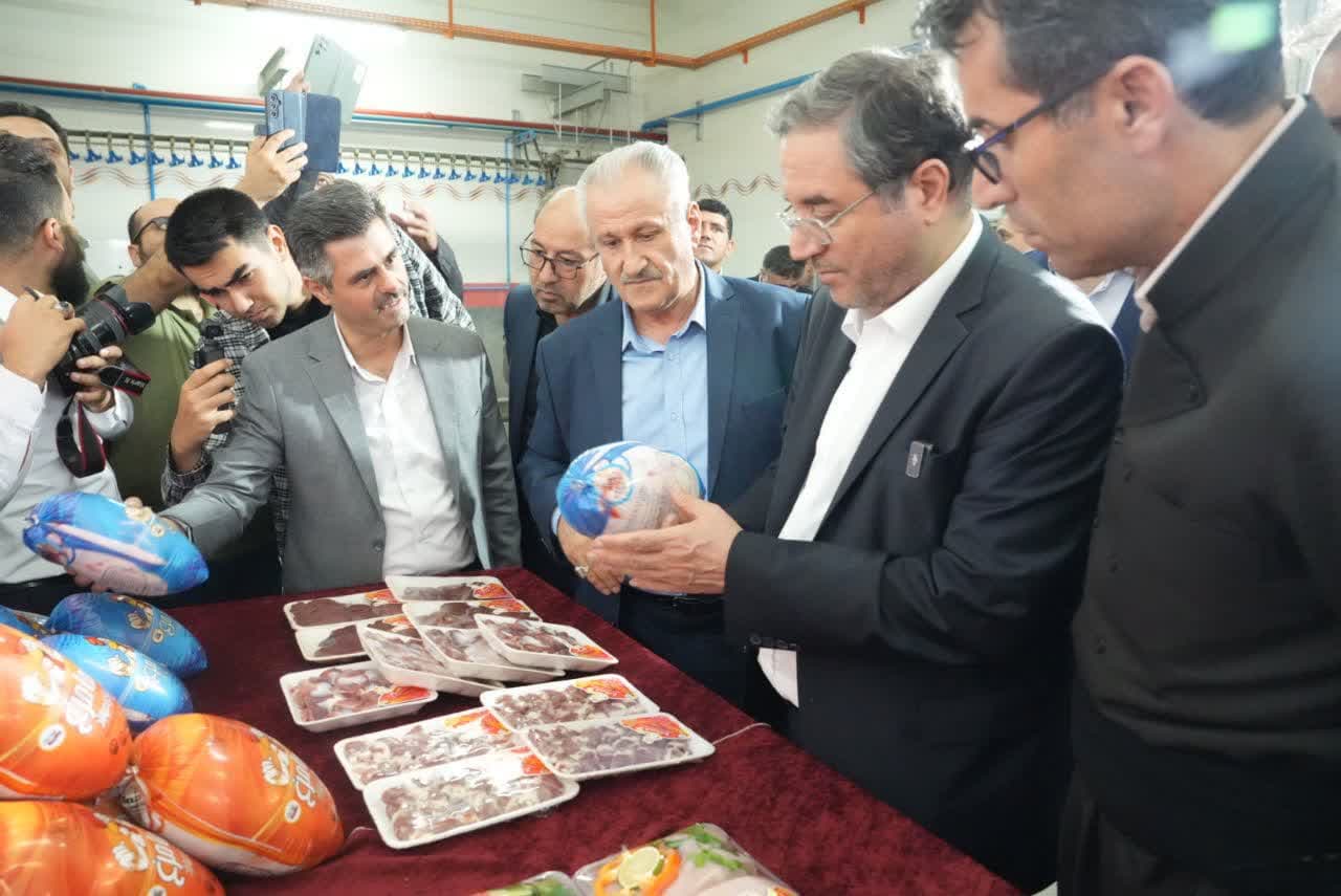 بازدید استاندار آذربایجانغربی از مجتمع زنجیرهای هما مرغ مهاباد + تصاویر