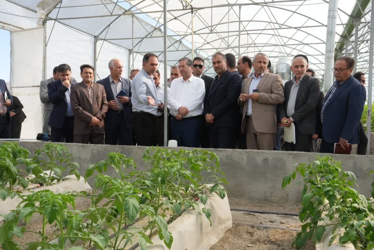 بازدید استاندار آذربایجانغربی از شهرک گلخانهای خلیفهلو + تصاویر