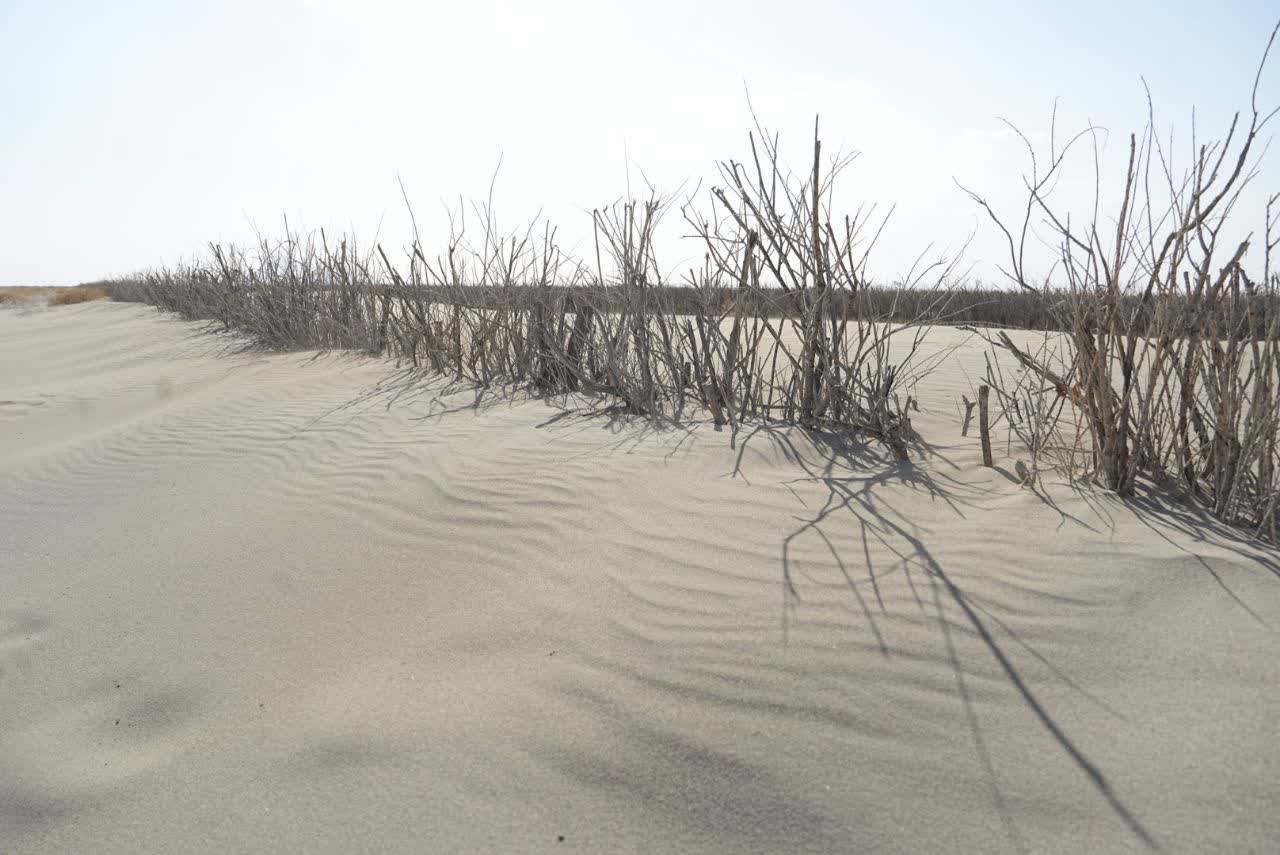 بازدید دبیر کارگروه ملی نجات دریاچه ارومیه از سایت تثبیت مرنگلو - سپرغان + تصاویر