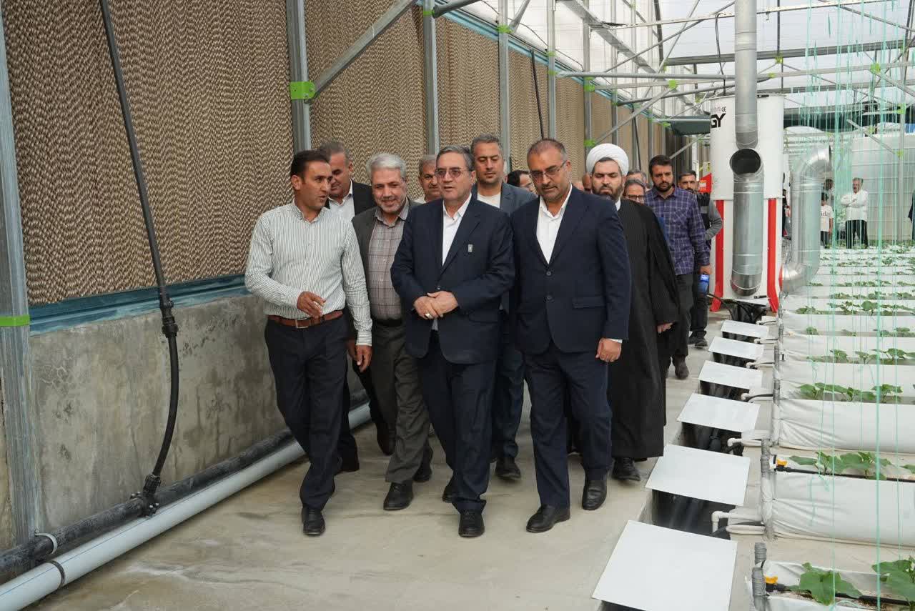 افتتاح گلخانه هیدروپونیک باراندوز ارومیه با سرمایهگذاری 60 میلیارد تومانی + تصاویر