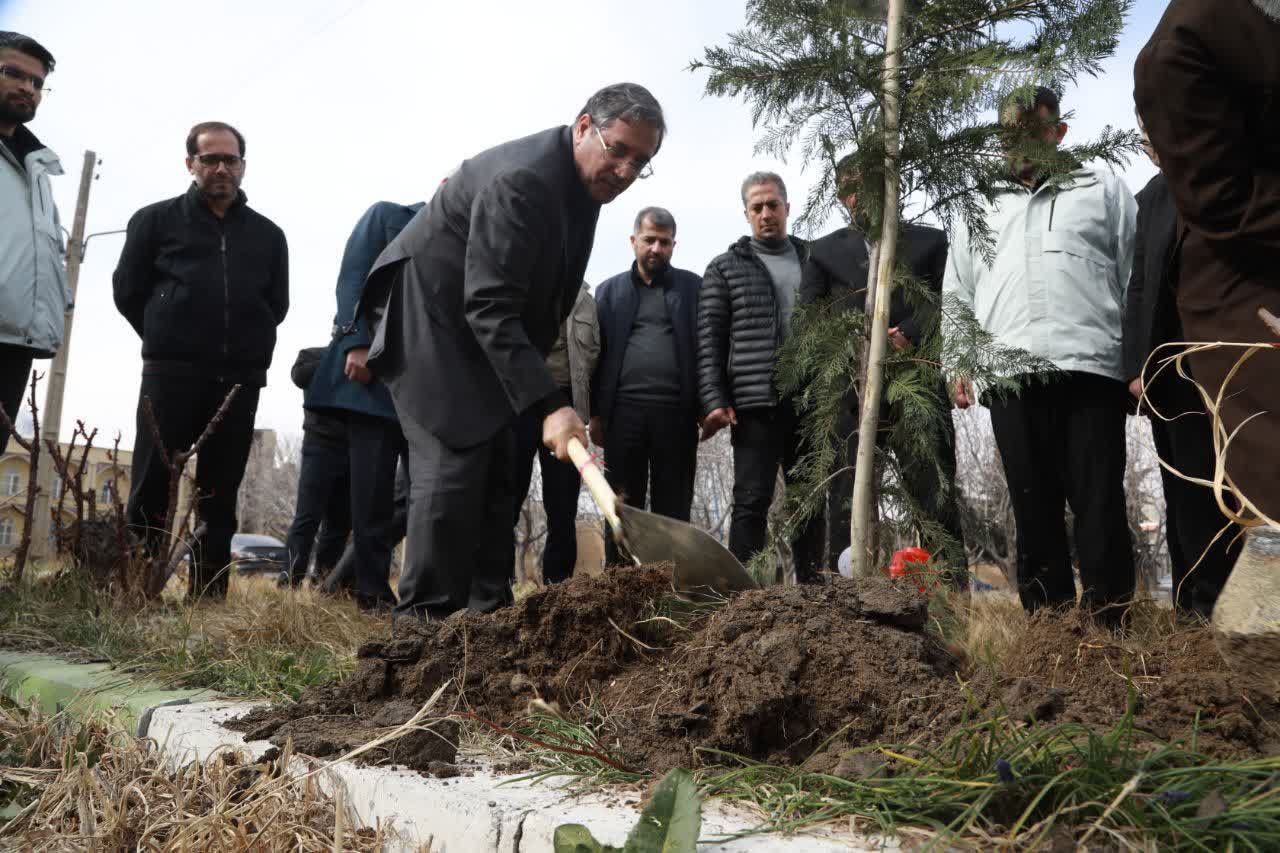 نماینده ولی‌فقیه در استان و استاندار آذربایجان‌غربی چند اصله نهال غرس کردند + تصاویر