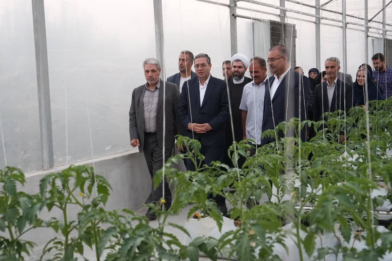 گلخانه فولادلو ارومیه به بهره‌برداری رسید + تصاویر