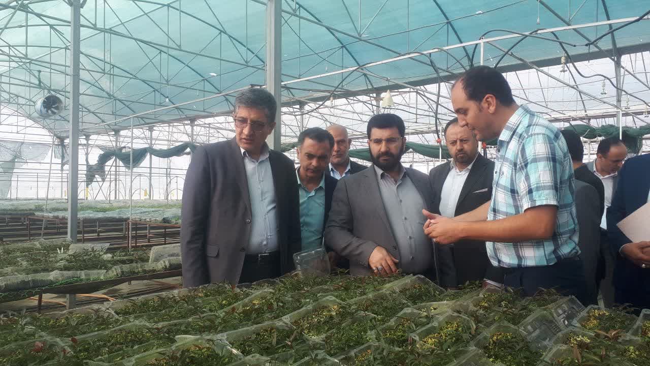 بازدید معاون هماهنگی امور اقتصادی استاندار آذربایجان غربی از سه شرکت تولیدی و صنعتی در ارومیه + تصاویر