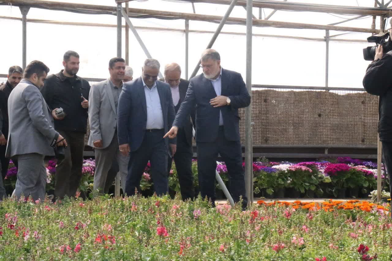 آلبوم تصویری / بازدید استاندار آذربایجانغربی از گلخانه شهرداری ارومیه