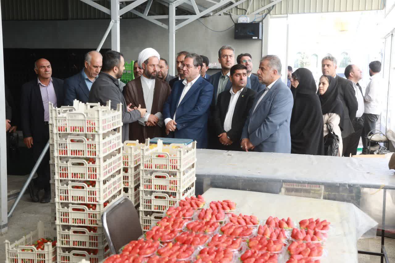 بازدید استاندار آذربایجانغربی از گلخانه هیدروپونیک امامزاده غریب حسن ارومیه + تصاویر