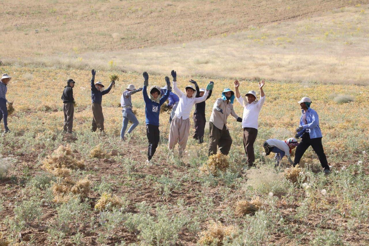 آلبوم تصویری / پانزدهمین سفر شهرستانی استاندار آذربایجان غربی؛ مقصد بخش صومای برادوست