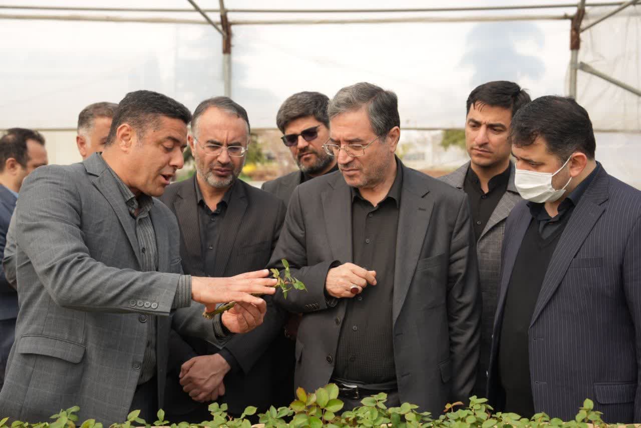 بازدید استاندار آذربایجانغربی از نهالستان شهرداری ارومیه + تصاویر