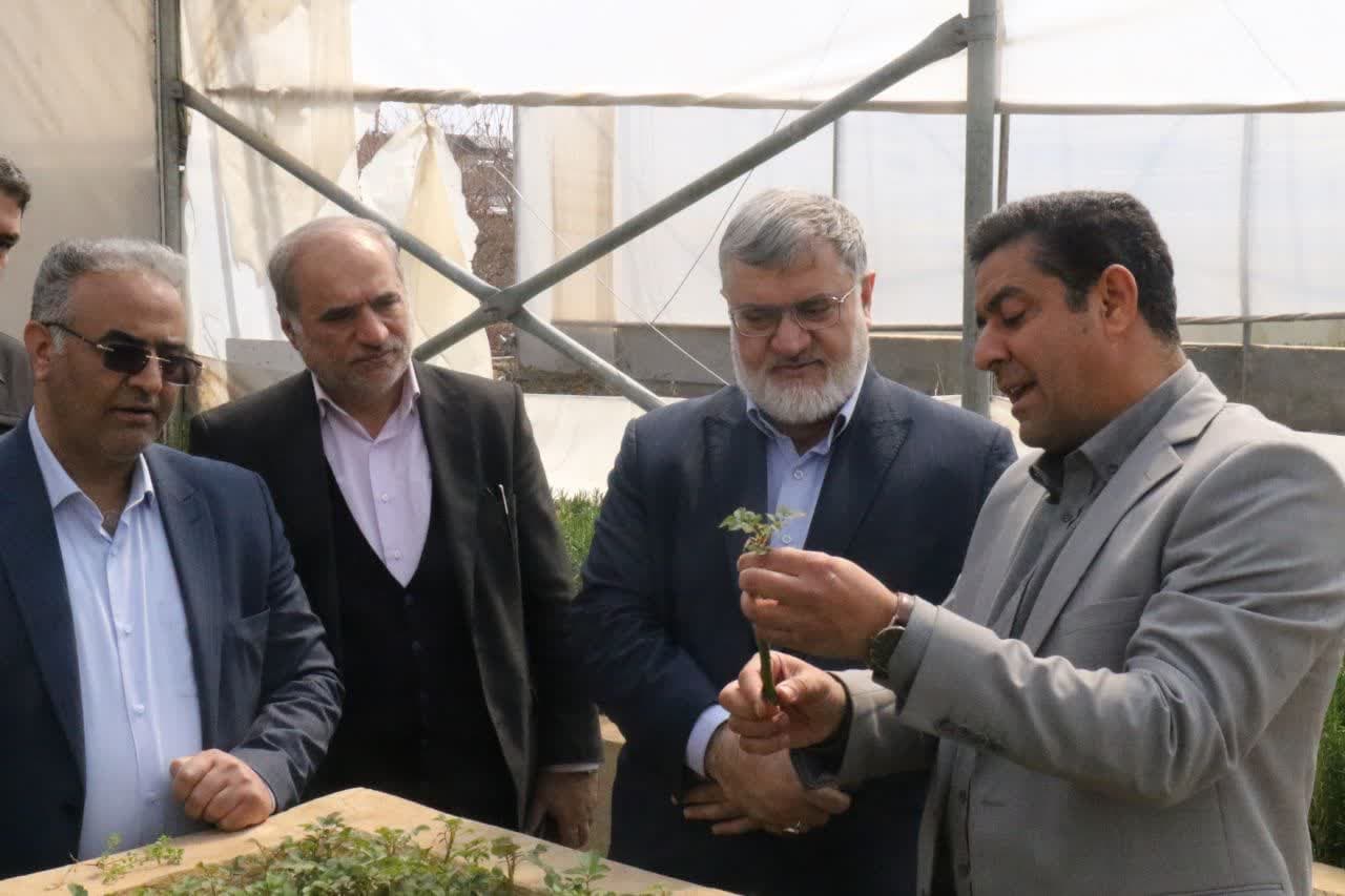 آلبوم تصویری / بازدید استاندار آذربایجانغربی از گلخانه شهرداری ارومیه