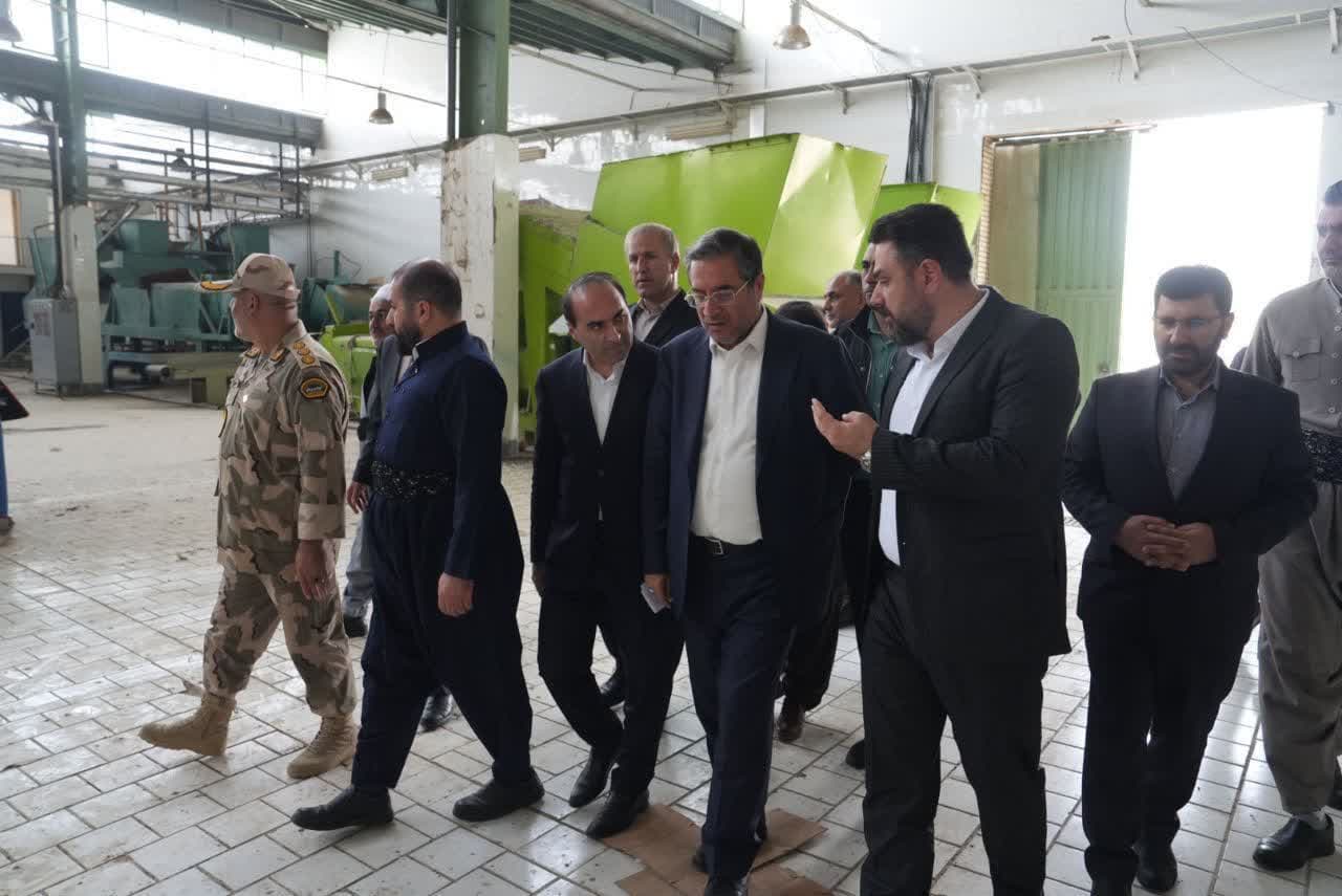 استاندار آذربایجانغربی پیگیر راهاندازی مجدد کارخانه شهد سردشت + تصاویر
