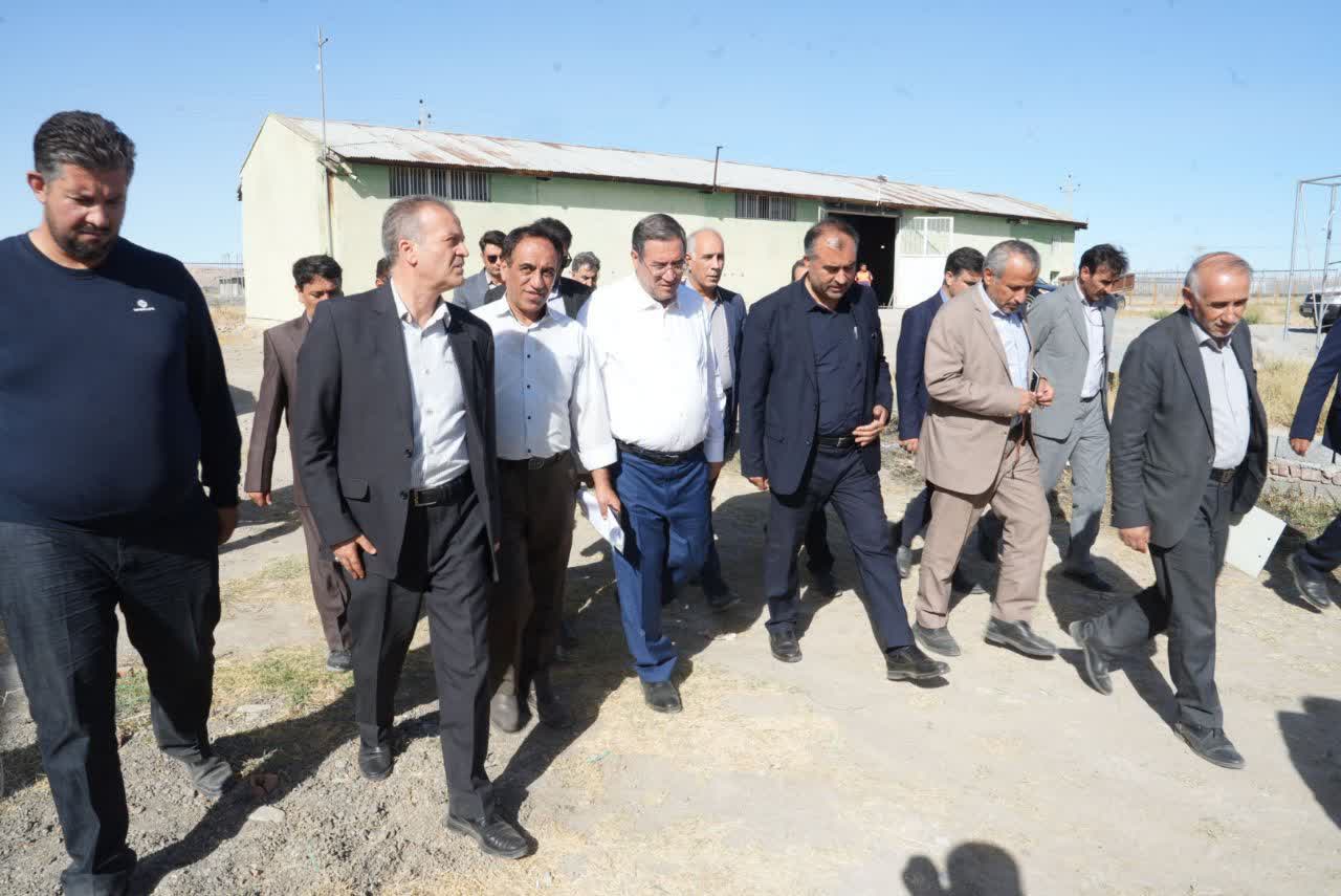 بازدید استاندار آذربایجانغربی از شهرک گلخانهای خلیفهلو + تصاویر