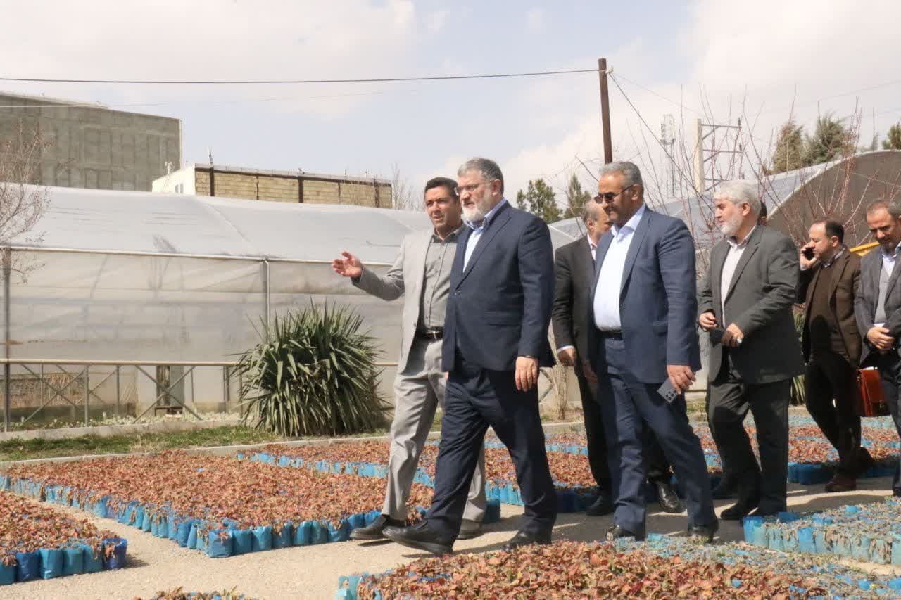 آلبوم تصویری / بازدید استاندار آذربایجانغربی از گلخانه شهرداری ارومیه