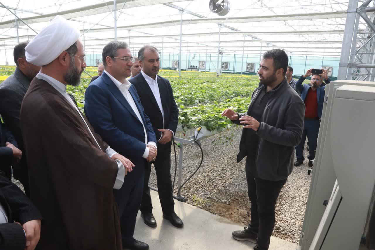 بازدید استاندار آذربایجانغربی از گلخانه هیدروپونیک امامزاده غریب حسن ارومیه + تصاویر