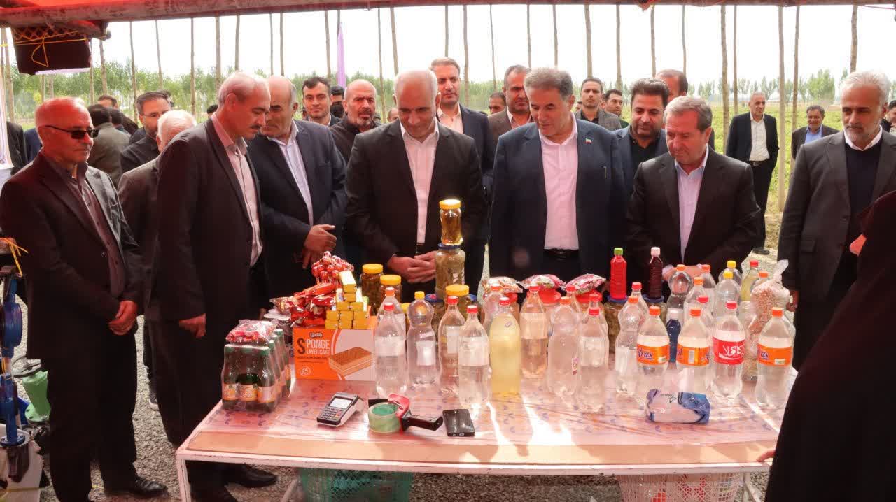 جشنواره سیبزمینی چالدران گامی برای برندسازی محصول و رونق اقتصادی منطقه