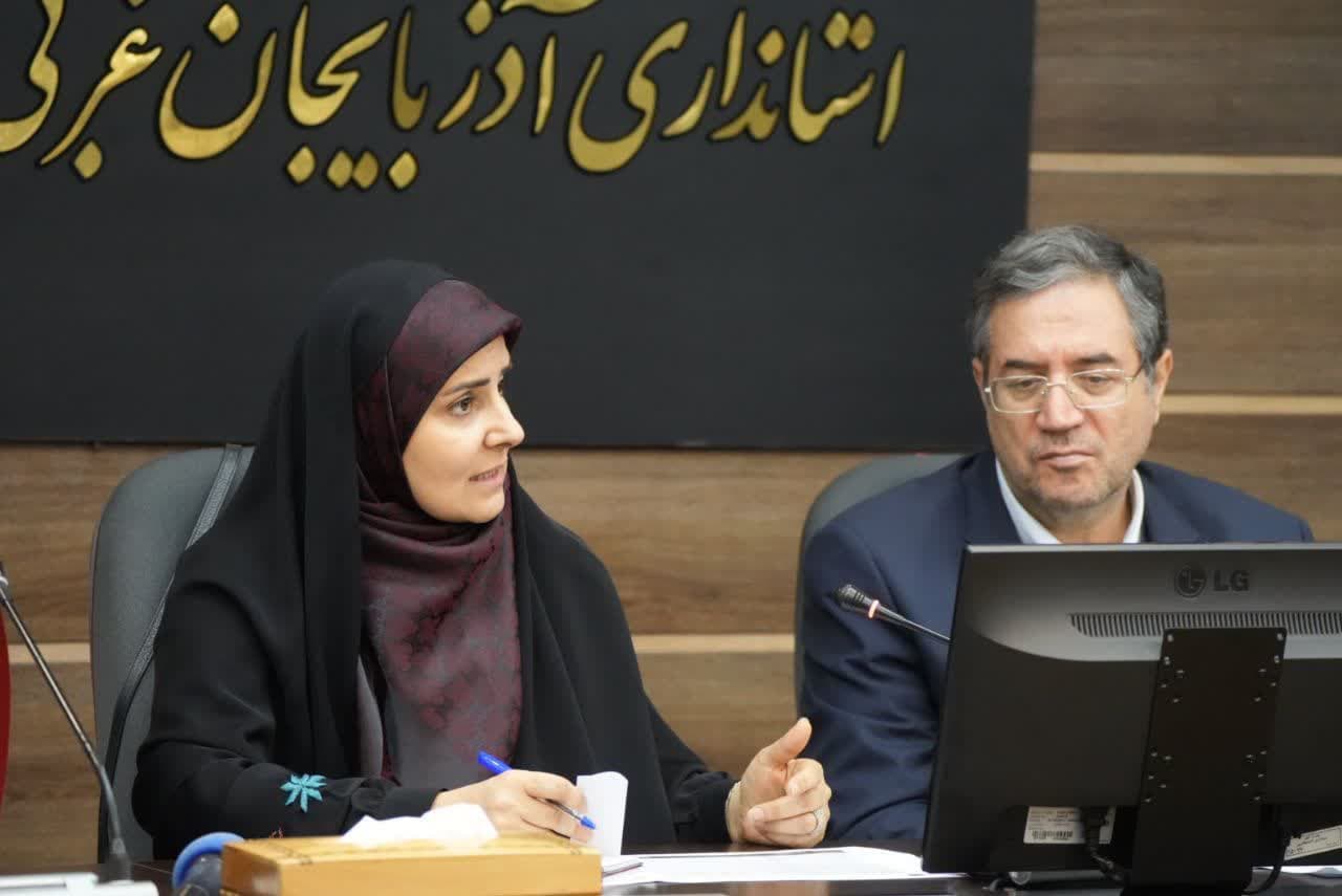 برگزاری جلسه شورای ساماندهی مبادی ورودی و خروجی کشور + تصاویر