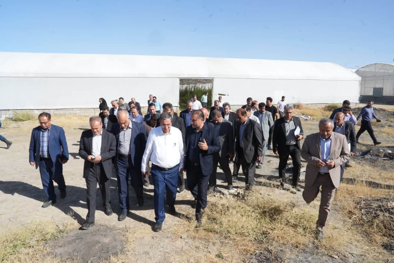 بازدید استاندار آذربایجانغربی از شهرک گلخانهای خلیفهلو + تصاویر