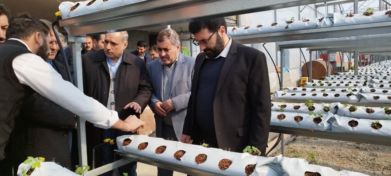 بهره برداری از طرح گلخانه هیدروپونیک توت فرنگی و واحد مرغداری تخم گذار در ارومیه