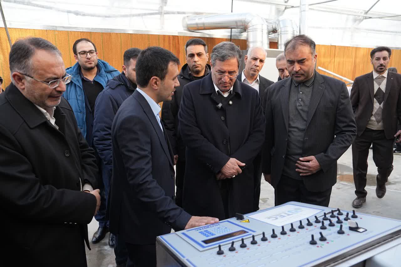 بهرهبرداری از گلخانه هیدروپونیک توتفرنگی در ارومیه + تصاویر