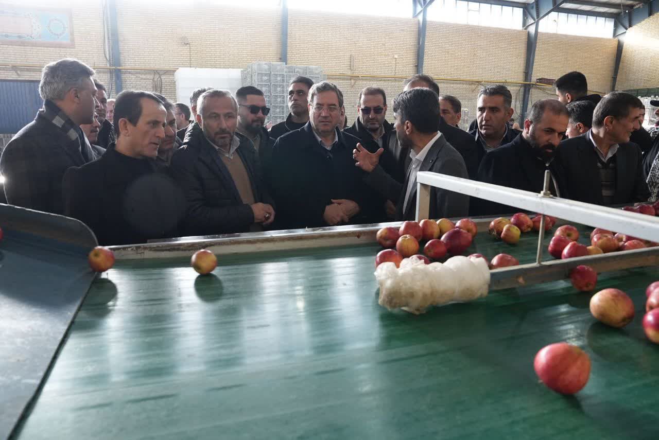 افتتاح سردخانه 2000 تنی و 2 واحد سورتینگ بسته‌بندی میوه در اشنویه + تصاویر
