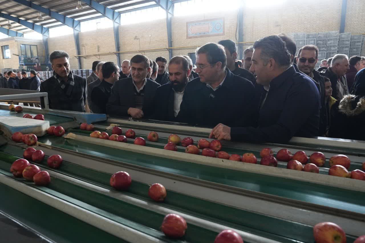 افتتاح سردخانه 2000 تنی و 2 واحد سورتینگ بسته‌بندی میوه در اشنویه + تصاویر