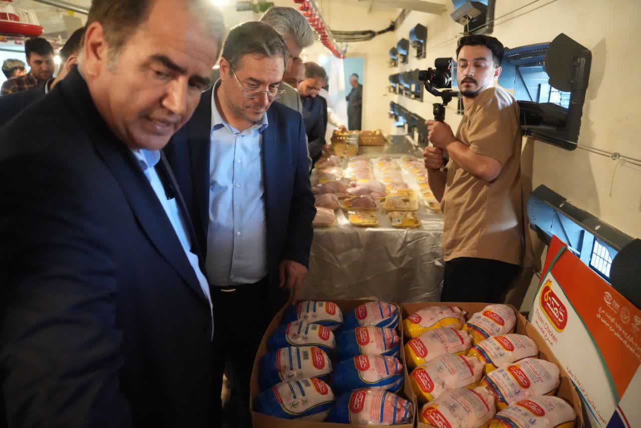 افتتاح واحد تولیدی مرغ گوشتی اروم گوهردانه در مهاباد + تصاویر