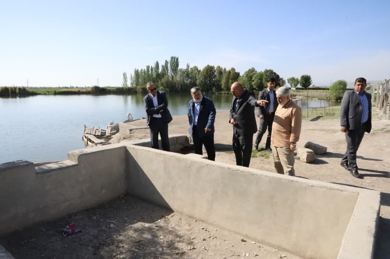 بازدید استاندار آذربایجانغربی از تالاب روستای گلمرز ارومیه + تصاویر