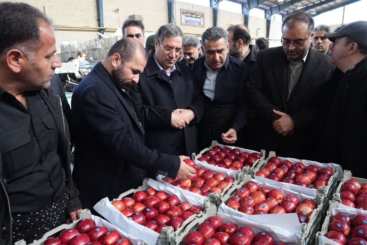 افتتاح سردخانه 2000 تنی و 2 واحد سورتینگ بسته‌بندی میوه در اشنویه + تصاویر