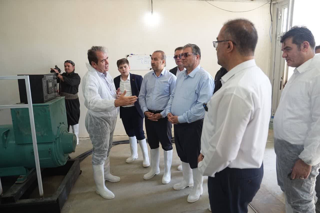 چرخ تولید در بوکان شتاب گرفت + تصاویر