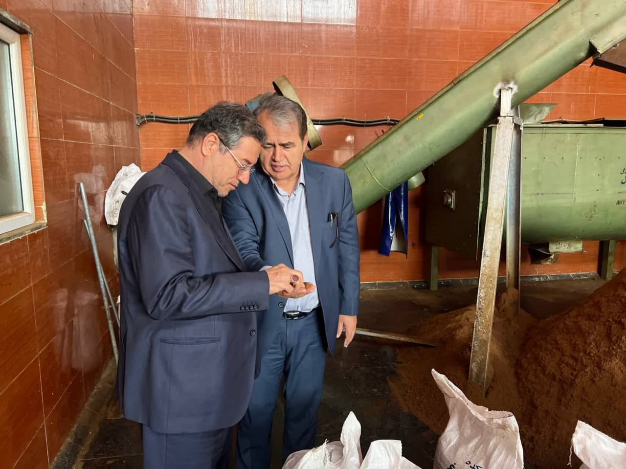 بازدید استاندار آذربایجانغربی از کشتارگاه صنعتی مرغ سیمین بال میاندوآب + تصاویر