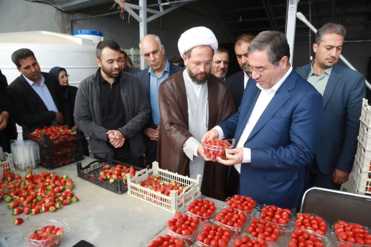 بازدید استاندار آذربایجانغربی از گلخانه هیدروپونیک امامزاده غریب حسن ارومیه + تصاویر