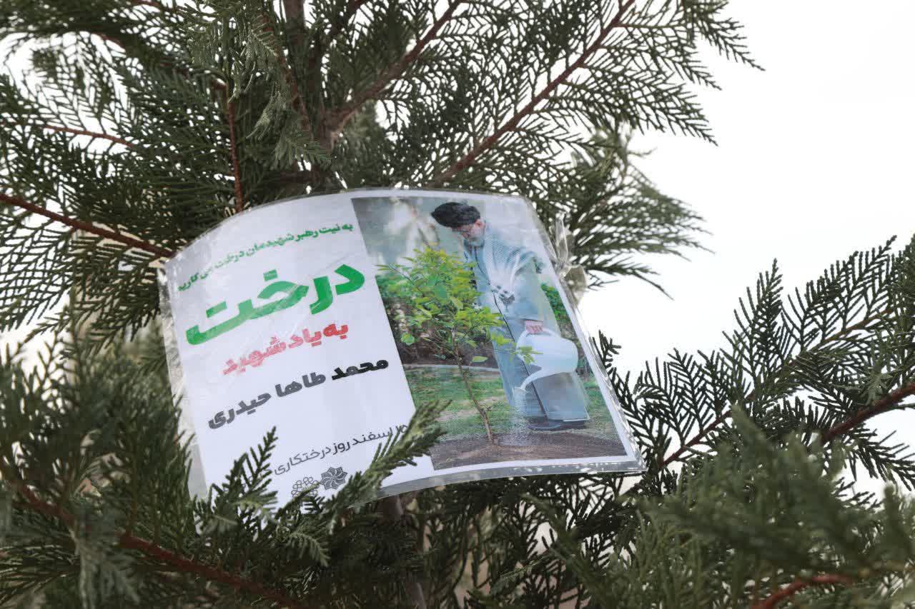 نماینده ولی‌فقیه در استان و استاندار آذربایجان‌غربی چند اصله نهال غرس کردند + تصاویر