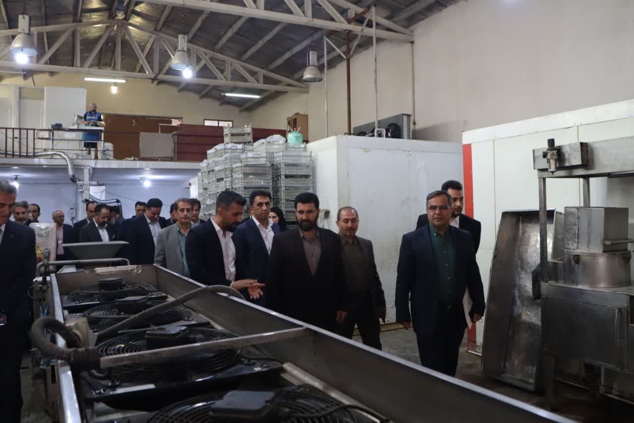 بازدید معاون هماهنگی امور اقتصادی استاندار آذربایجان غربی از دو واحد تولیدی در ارومیه + تصاویر