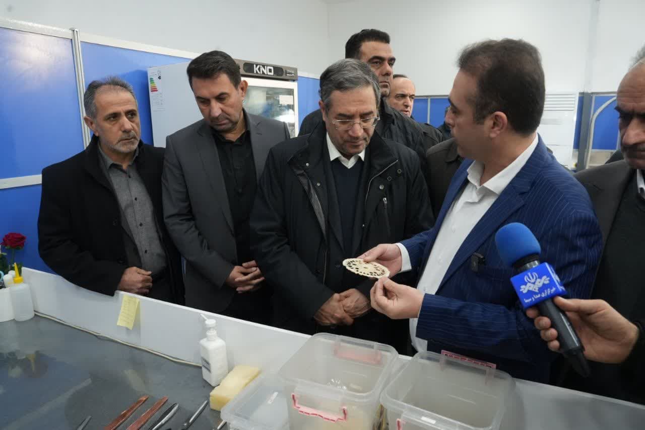 آلبوم تصویری / بازدید استاندار آذربایجانغربی از دو واحد تولیدی در ماکو