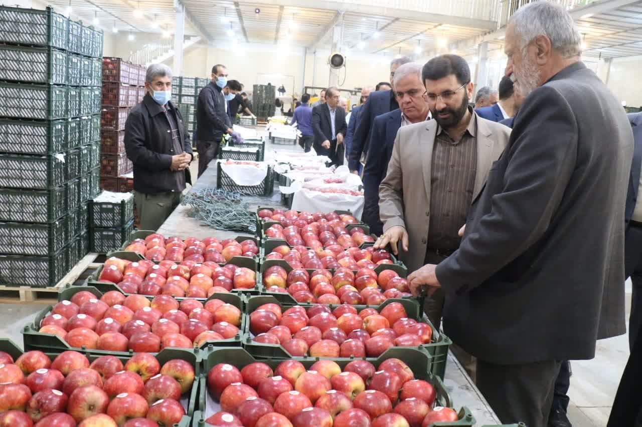بازدید معاون هماهنگی امور اقتصادی استاندار آذربایجان غربی از دو شرکت تولیدی و صنعتی در ارومیه + تصاویر