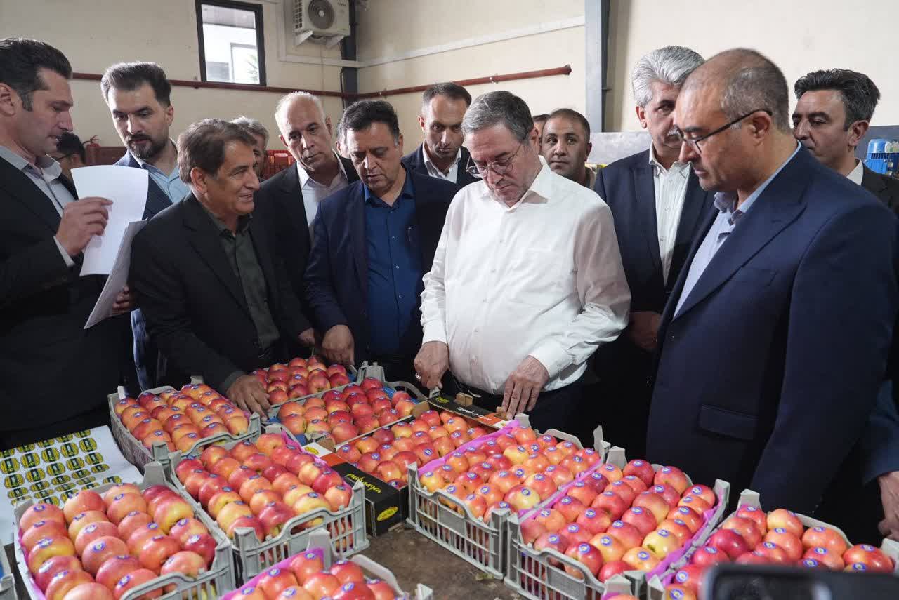 بهرهبرداری از واحد سورتینگ و سردخانه در مهاباد + تصاویر