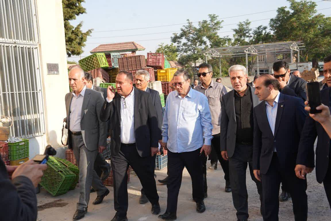 اروم دشت در آستانه بازگشت به چرخه تولید + تصاویر