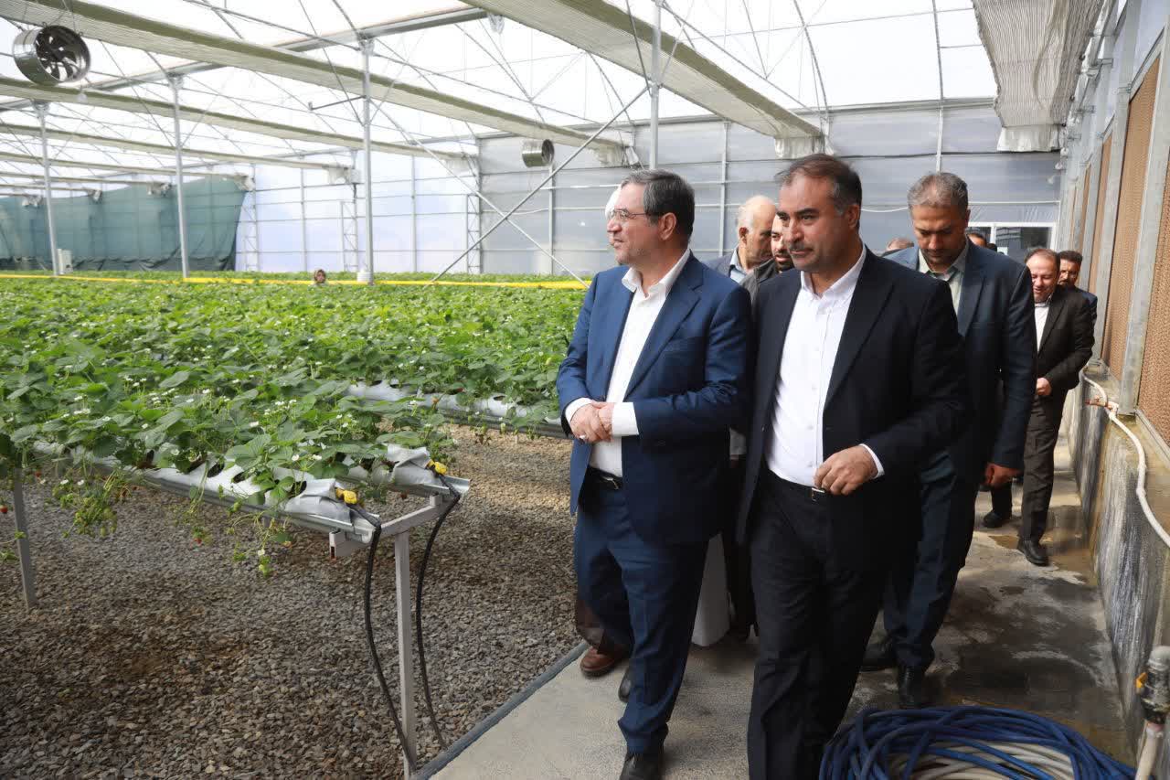 بازدید استاندار آذربایجانغربی از گلخانه هیدروپونیک امامزاده غریب حسن ارومیه + تصاویر