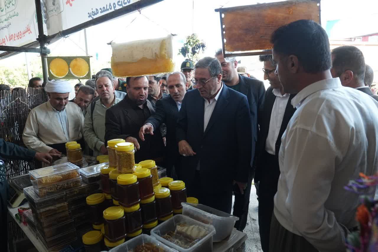 جلوهای از ظرفیتهای بومی میرآباد در جشنواره انگور سیاه + تصاویر