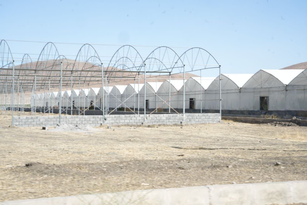 بازدید استاندار آذربایجانغربی از شهرک گلخانهای خلیفهلو + تصاویر