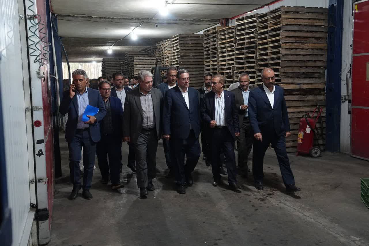 بازدید استاندار آذربایجانغربی از زیرساختهای صادرات محصولات کشاورزی ارومیه + تصاویر