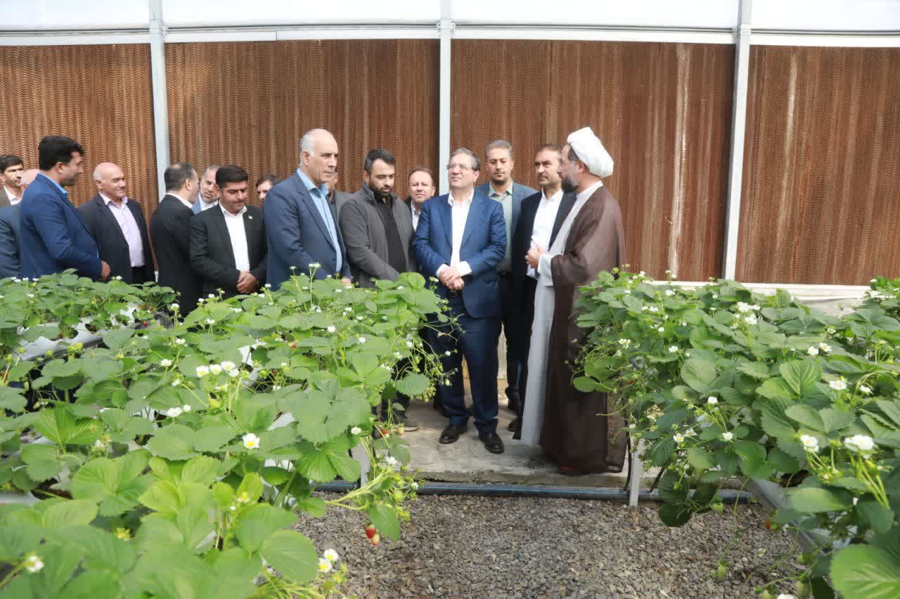 بازدید استاندار آذربایجانغربی از گلخانه هیدروپونیک امامزاده غریب حسن ارومیه + تصاویر