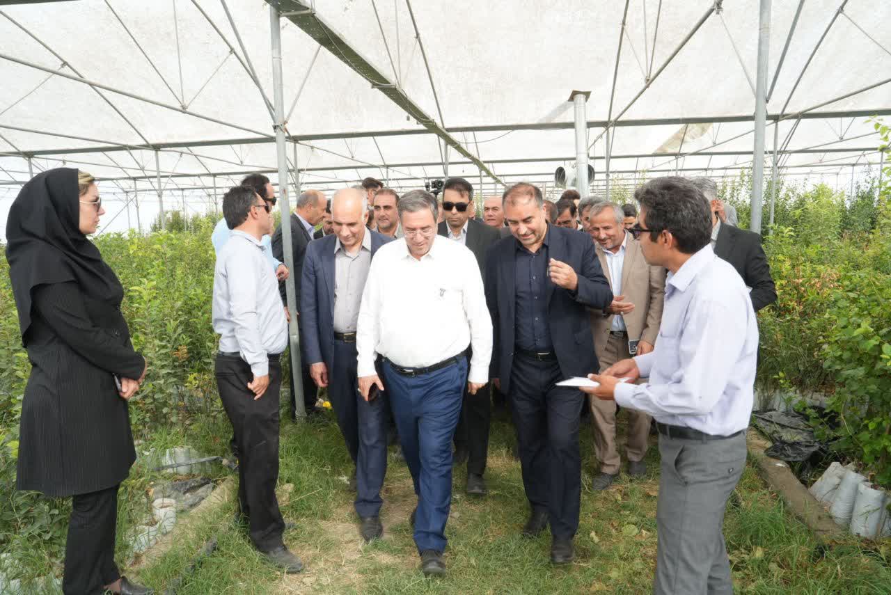 بازدید استاندار آذربایجانغربی از شهرک گلخانهای خلیفهلو + تصاویر