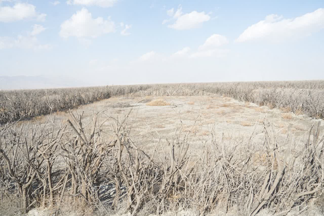 بازدید دبیر کارگروه ملی نجات دریاچه ارومیه از سایت تثبیت مرنگلو - سپرغان + تصاویر