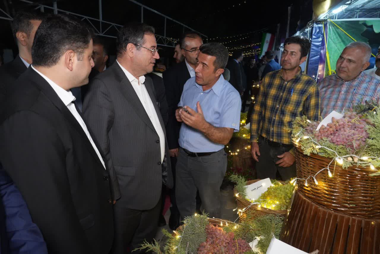 آلبوم تصویری / آغاز هشتمین جشنواره انگور ارومیه